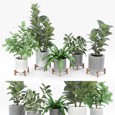 Bungalow Planter Collection — скачать