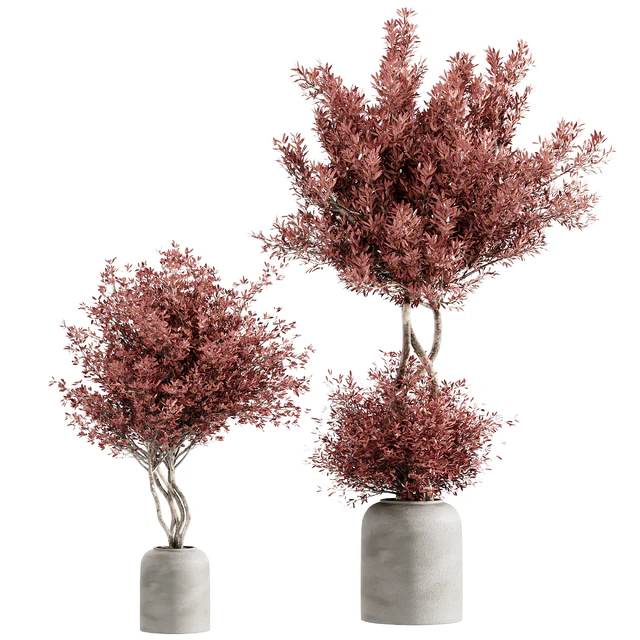 indoor plant set 21 — Скачать