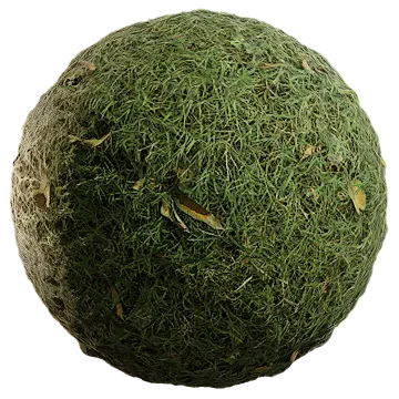 uncut grass 004 — Descargar