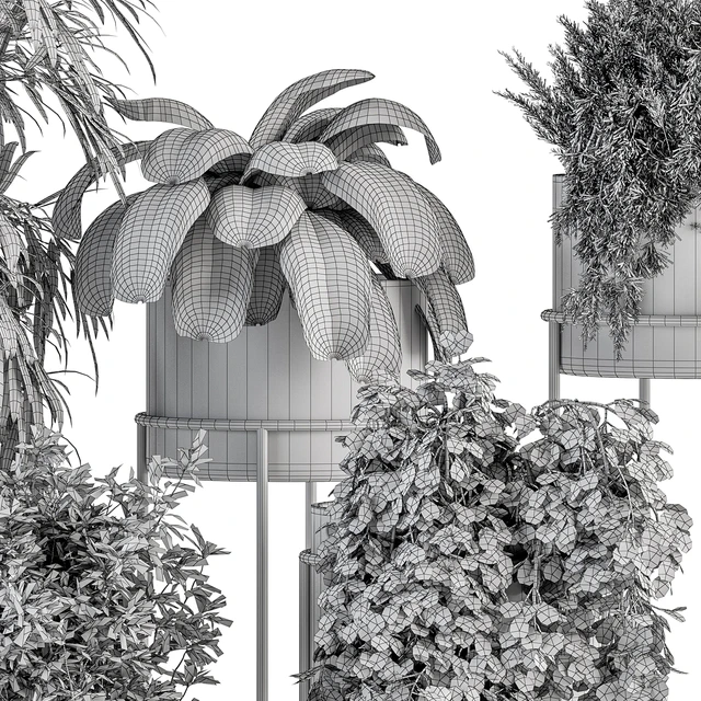indoor Plant Set 355- Tree and Plant Set in Black pot — Скачать