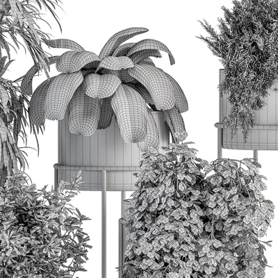indoor Plant Set 355- Tree and Plant Set in Black pot — Вид 6
