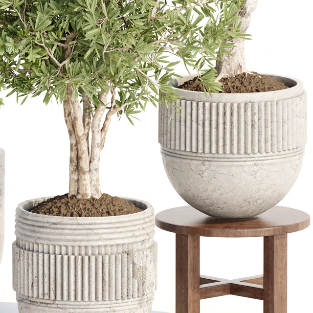 Indoor Plants collection vol 103 — Descargar