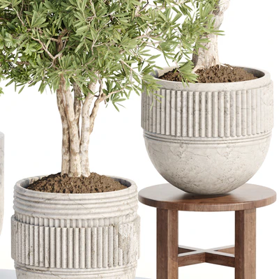 Indoor Plants collection vol 103 — Ver 5
