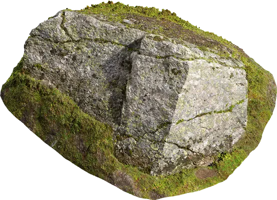 tundra mossy boulder 004 — Скачать