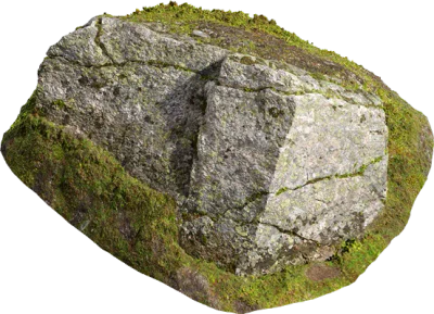tundra mossy boulder 004 — Скачать