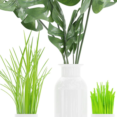 Plant 04 — Ver 2