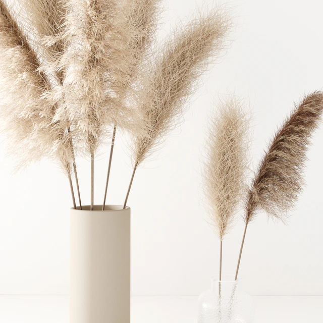 Set of pampas in vase — Descargar