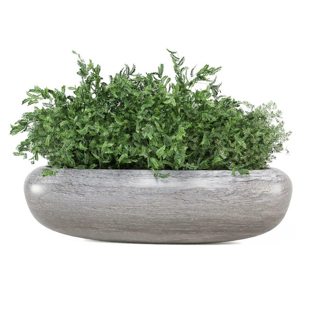 Indoor Plants Collection 1900 — Download