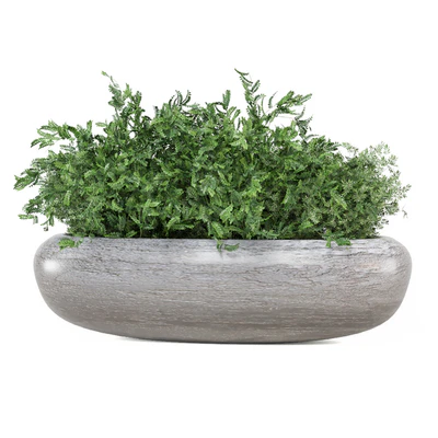 Indoor Plants Collection 1900 — View 5