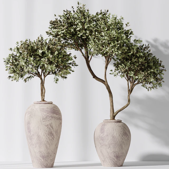 Elastica Abidjan Melany and Mission Olive Tree Vase 18 — Descargar