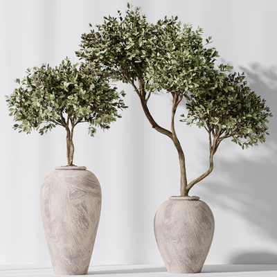Elastica Abidjan Melany and Mission Olive Tree Vase 18 — Ver 5