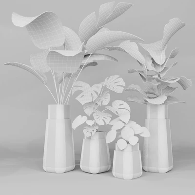 Plant collection — Ver 3