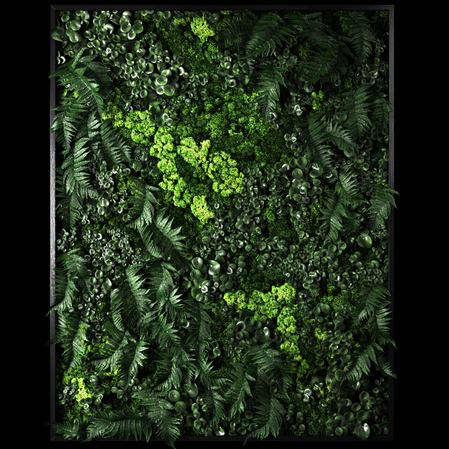 Fytowall 2 — Descargar