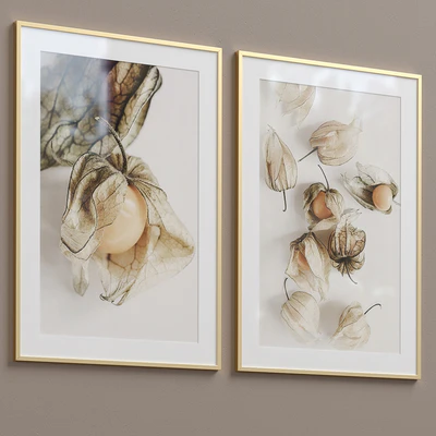 Framed Print P-204 — Вид 5