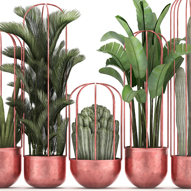Collection of plants 326. Cacti, palm, copper, banana, dipsis, indoor plants, pot, copper, flowerpot, metal, outdoor, decorative, strelitzia, Cactus — Descargar