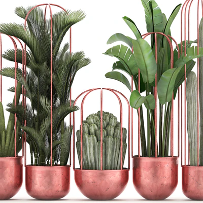 Collection of plants 326. Cacti, palm, copper, banana, dipsis, indoor plants, pot, copper, flowerpot, metal, outdoor, decorative, strelitzia, Cactus — Ver 3