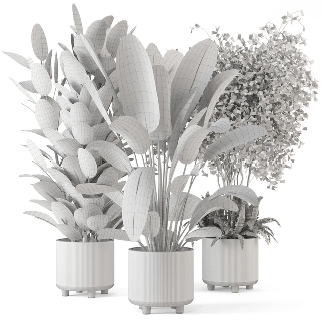 Indoor Planters in Cecilia Ficonstone Pot - Set 350 — Скачать
