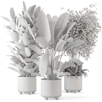 Indoor Planters in Cecilia Ficonstone Pot - Set 350 — Вид 7