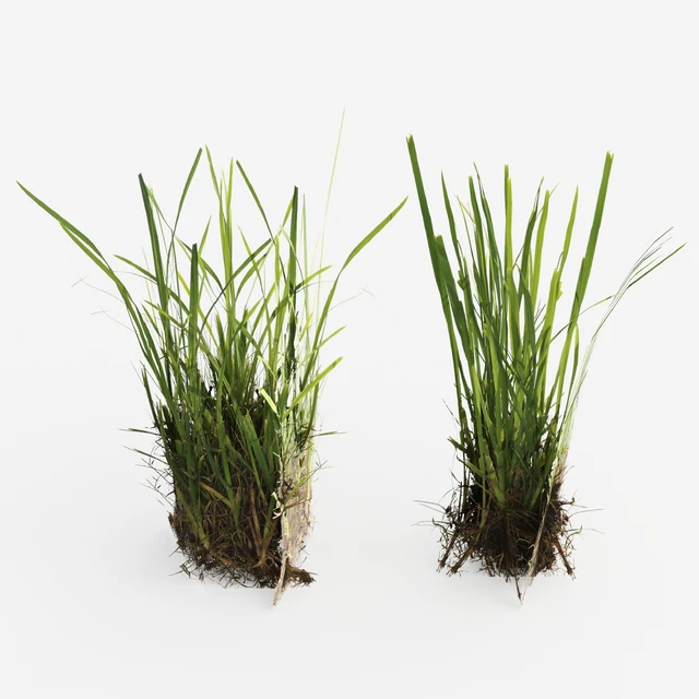 Decorative Floor Grass — Descargar