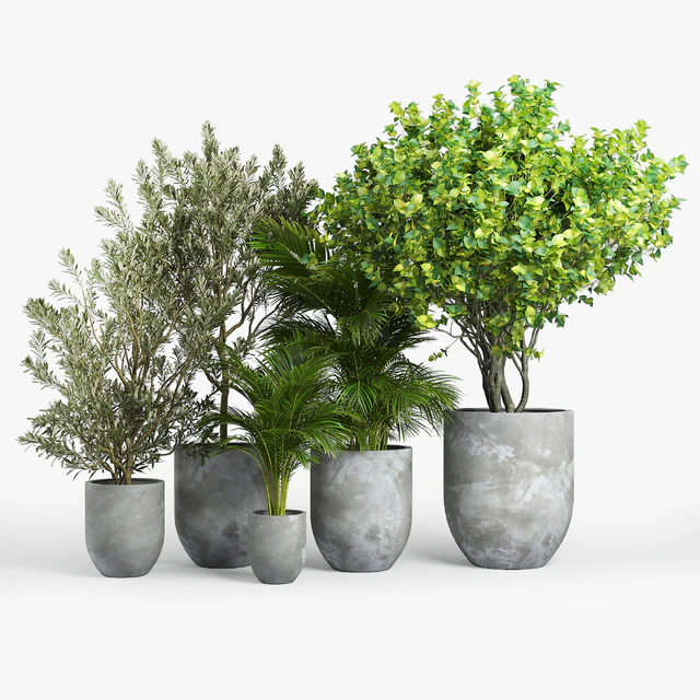 concrete set — Скачать