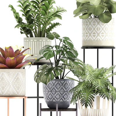 Collection of plants 333. Flower shelf, stand, Zamioculcas, monstera, Bromelia, Philodendron, houseplants, stand, Scandinavian style, flower — Ver 3