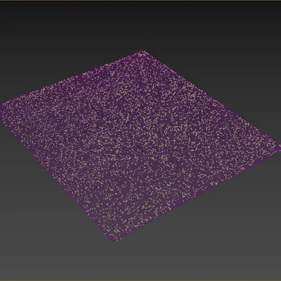 The Rug Company Wool Carpet — Ver 4