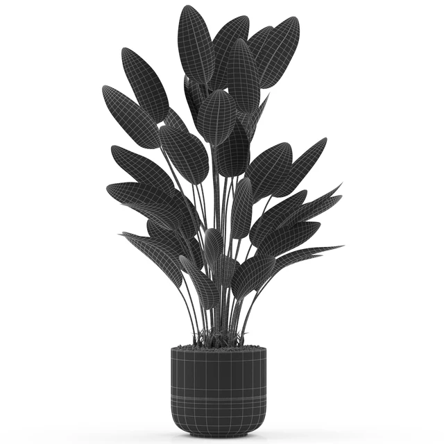 Plants collection 493 — Descargar