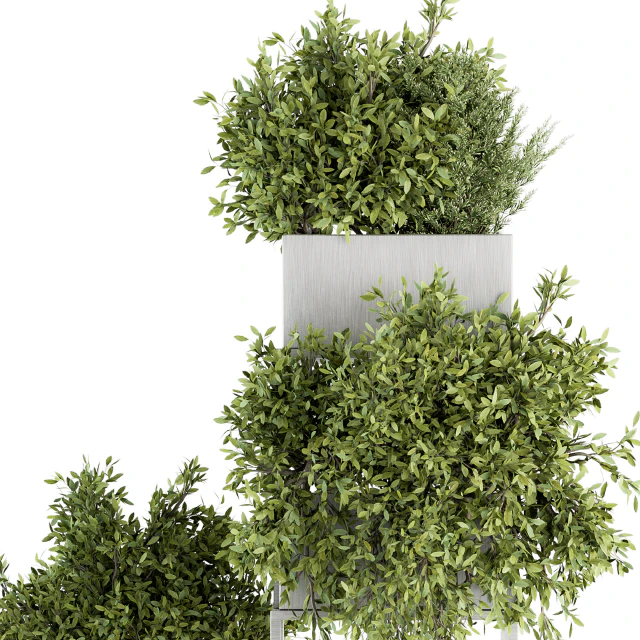 indoor Plant Set 213 - Silver Plant Stand — Descargar
