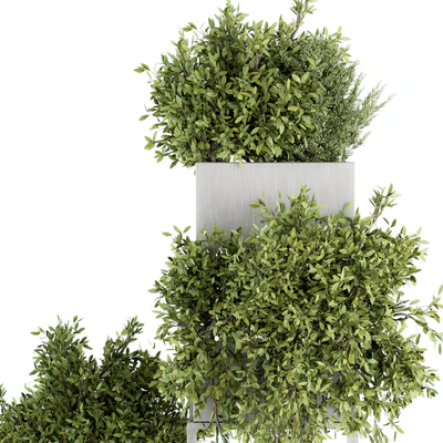 indoor Plant Set 213 - Silver Plant Stand — Ver 5