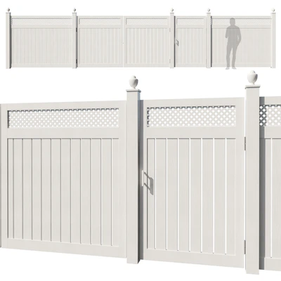 Fence 10 — View 1