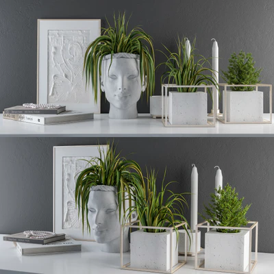 Decorative Set Sculpt Pot and Plants — Вид 1