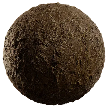 moist dried grass 005 — Скачать