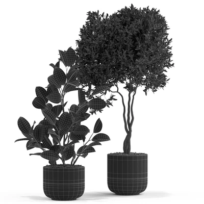 Plants collection 540 — Ver 5