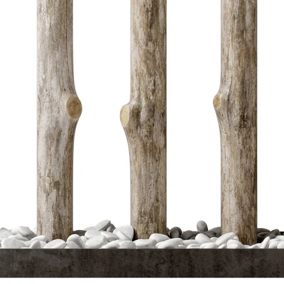 Branch thick decor fundament n1 — Ver 5