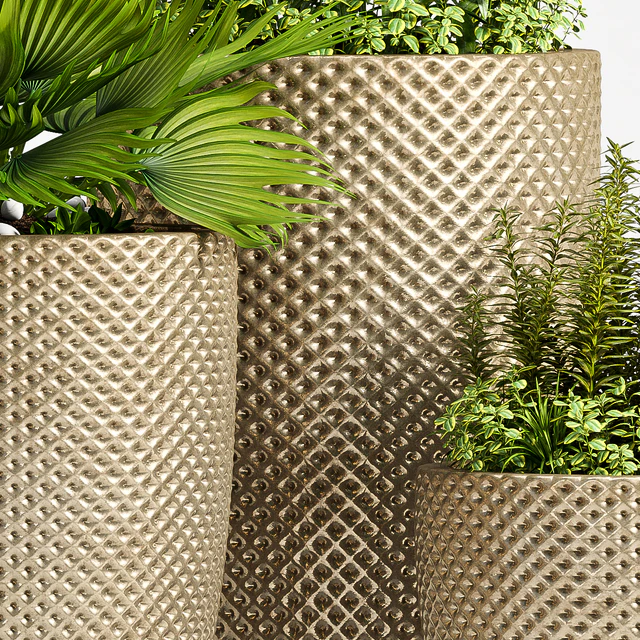 PLANT SET - 68 — Скачать