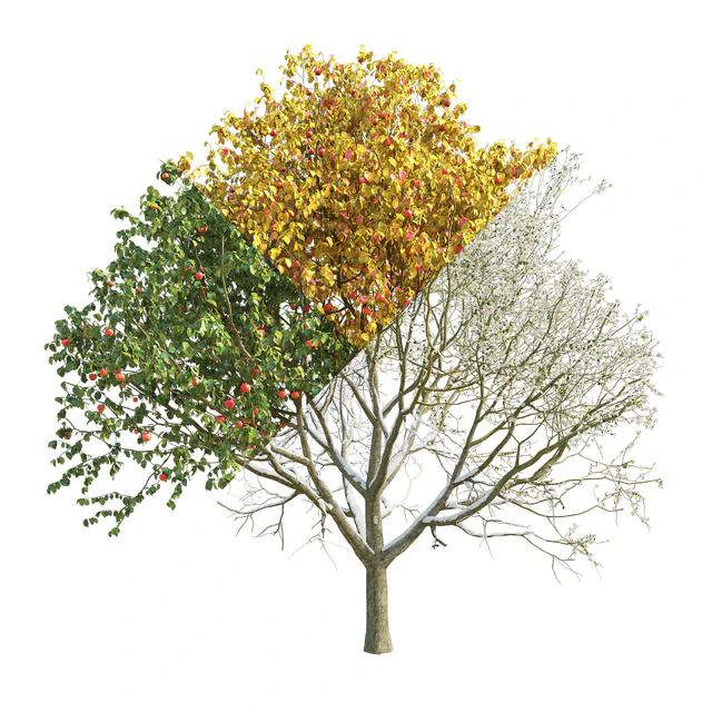 Apple tree 3 season — Descargar