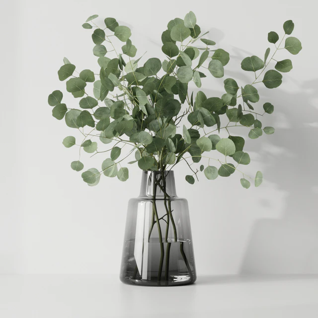 Eucalyptus — Descargar