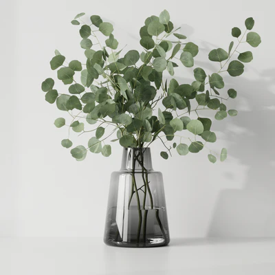 Eucalyptus — Descargar