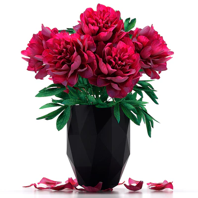 Peonies — Ver 1