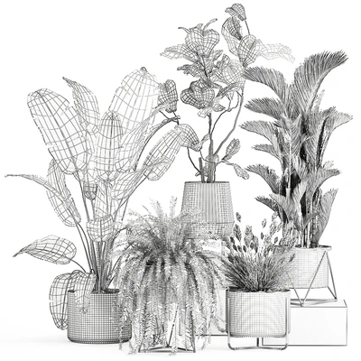 Коллекция растений в современных luxury горшках с Фикус Лирата, папоротник, пальма, топ, Равенала, Стрелиция. Набор 996. — Вид 6