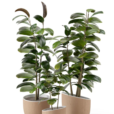 Indoor Plants in rusty Concrete Pot - Set 692 — Вид 7