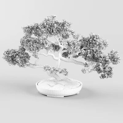 Bonsai — Ver 3