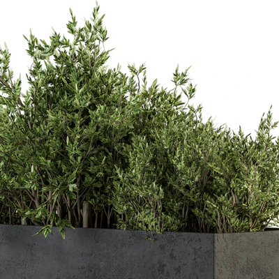 Outdoor Plants tree in Concrete Box - Set 126 — Ver 4