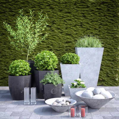 Planter group — Ver 1