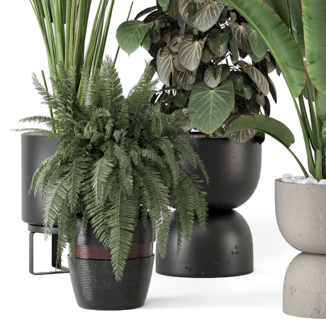 Indoor Plants in Ferm Living Bau Pot Large - Set 1256 — Download
