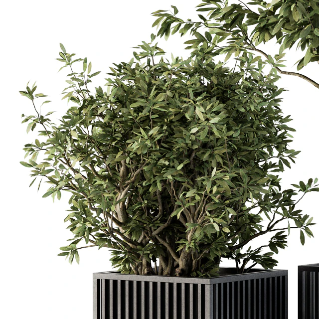 Outdoor Plant Set 276 - Plant Set in Metal Pot — Скачать