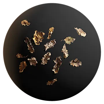 oak leaves 006 — Скачать