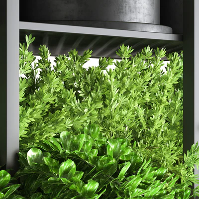 collection Indoor plants hanging pot metal 01 — Ver 7