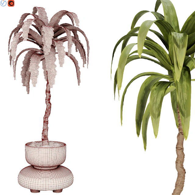 Indoor plant 38 — Скачать