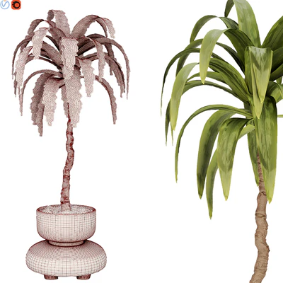 Indoor plant 38 — Вид 2
